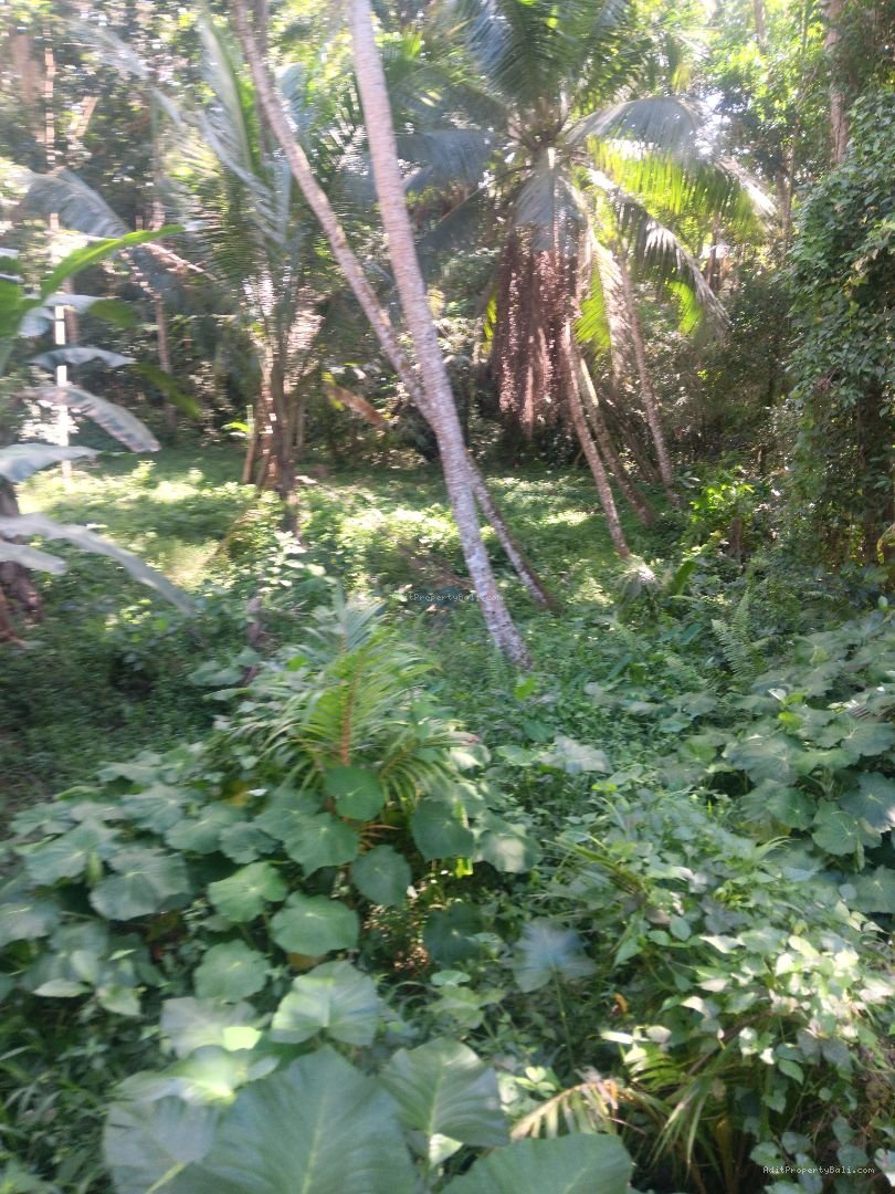 Tanah siap bangun