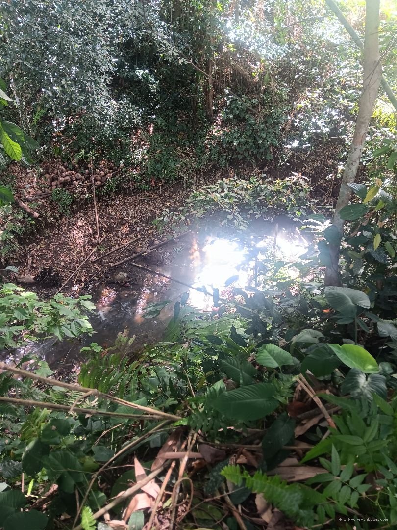 Tanah siap bangun