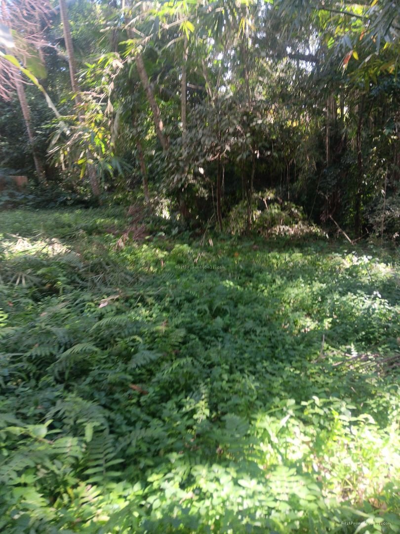 Tanah siap bangun
