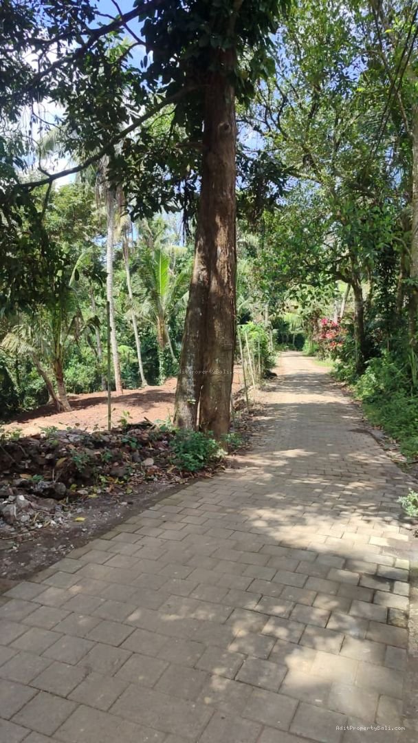 Tanah sayan ubud