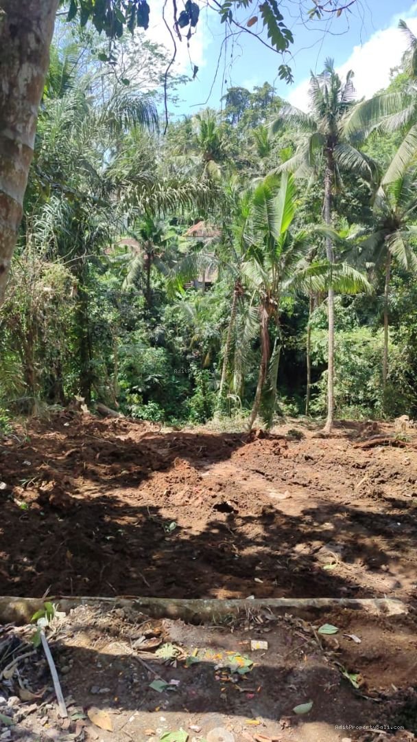 Tanah sayan ubud