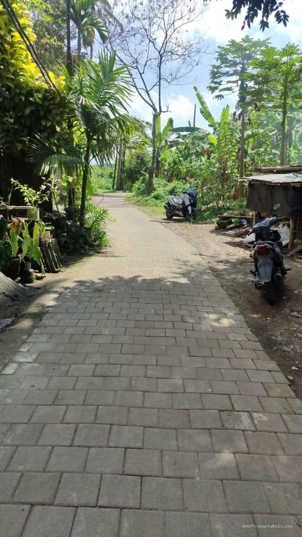 Tanah sayan ubud