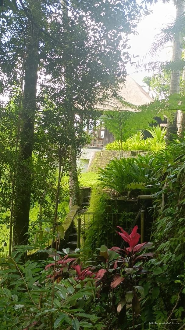 Tanah sangat nyaman untuk villa pribadi