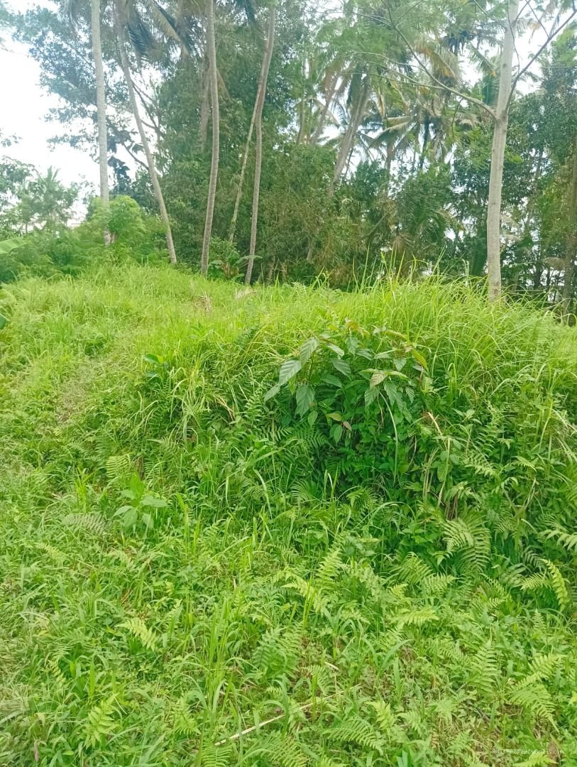 Tanah strategis di jantung kota ubud